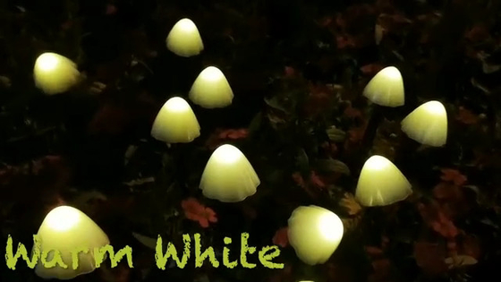 as luzes postas solares da corda do diodo emissor de luz de 2700K IP55/crescem rapidamente decoração festiva do casamento solar das luzes do jardim
