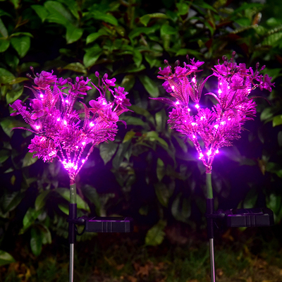 O jardim solar do diodo emissor de luz do Phalaenopsis ilumina Wildflowers pequenos ajardina a luz do gramado do jardim